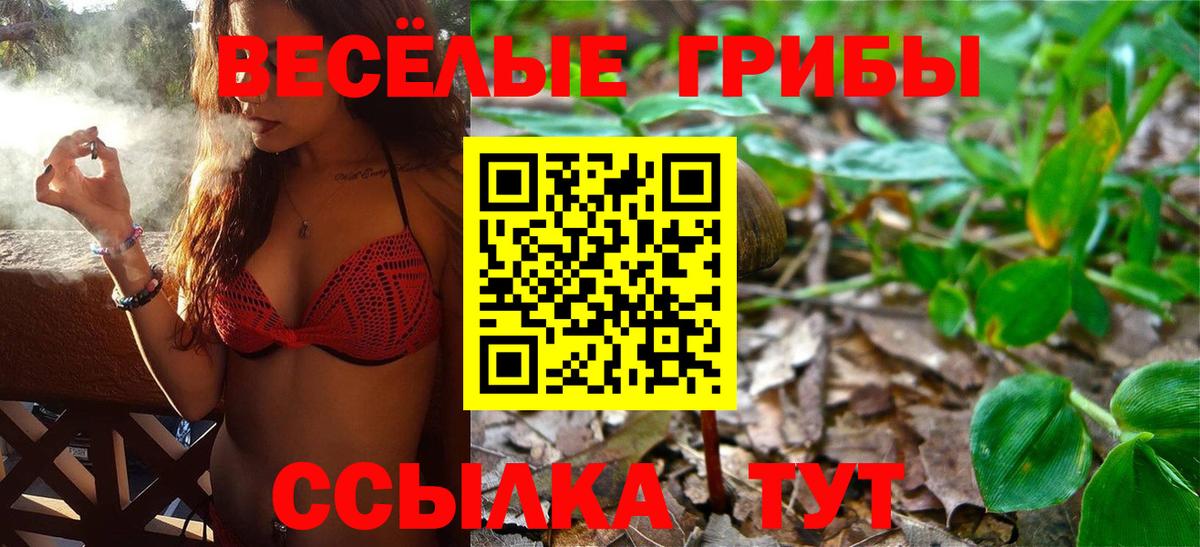 Псилоцибиновые грибы Cubensis Протвино