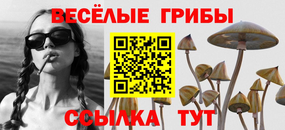 Галлюциногенные грибы мухоморы  Вход с VPN  Протвино  Галлюциногенные грибы Cubensis 